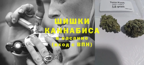 винт Алексеевка