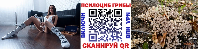 купить наркотики цена  Богородск  Псилоцибиновые грибы мухоморы 